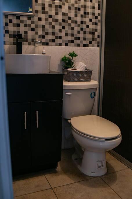 Апартаменти Hermoso Departamento Centrico Con Servicios Текіла Екстер'єр фото
