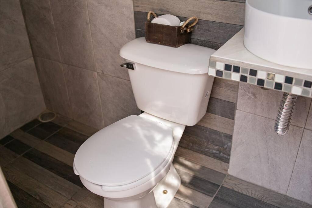Апартаменти Hermoso Departamento Centrico Con Servicios Текіла Екстер'єр фото