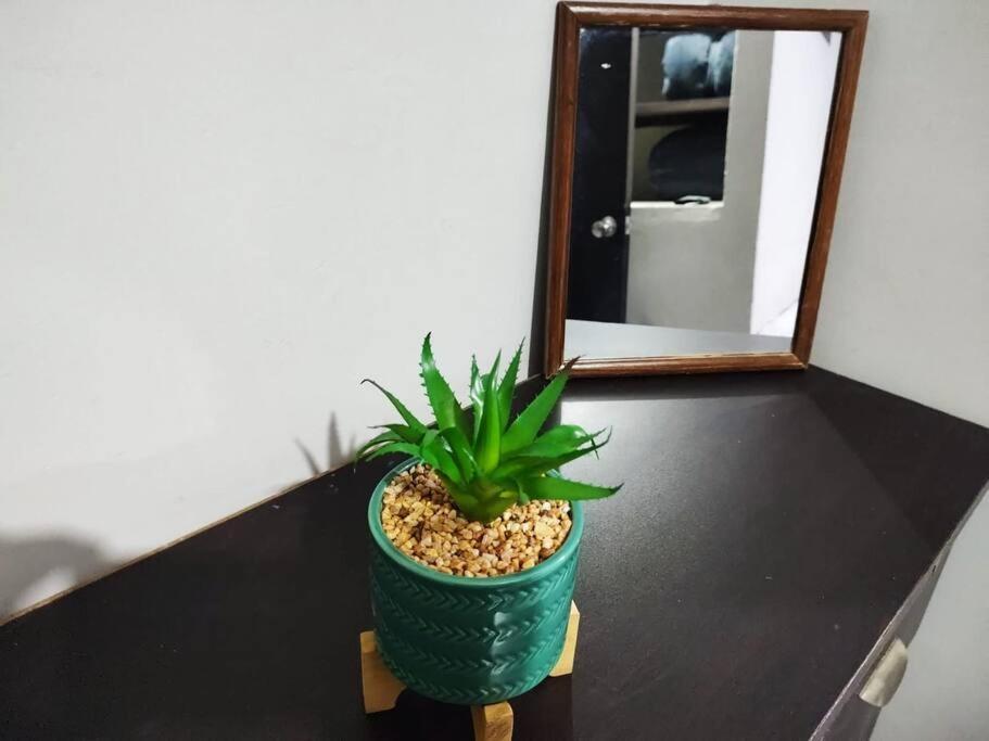 Апартаменти Hermoso Departamento Centrico Con Servicios Текіла Екстер'єр фото