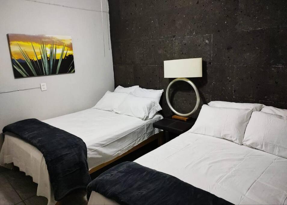 Апартаменти Hermoso Departamento Centrico Con Servicios Текіла Екстер'єр фото
